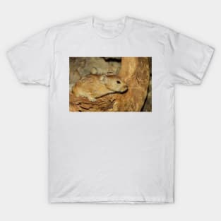 Gerbil in the Wild, Mongolia T-Shirt